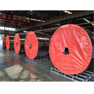 DIN EP Fabrice পরিবাহক বেল্ট